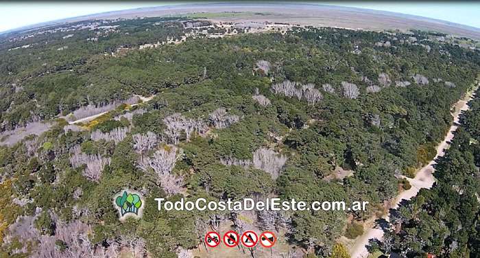 Bosque de La Reserva y bosque de costayres - Costa del Este